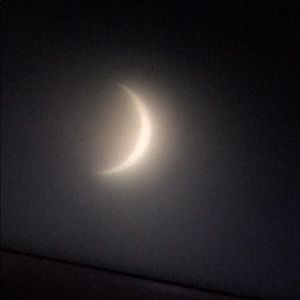 Meet your Posher, Jackson